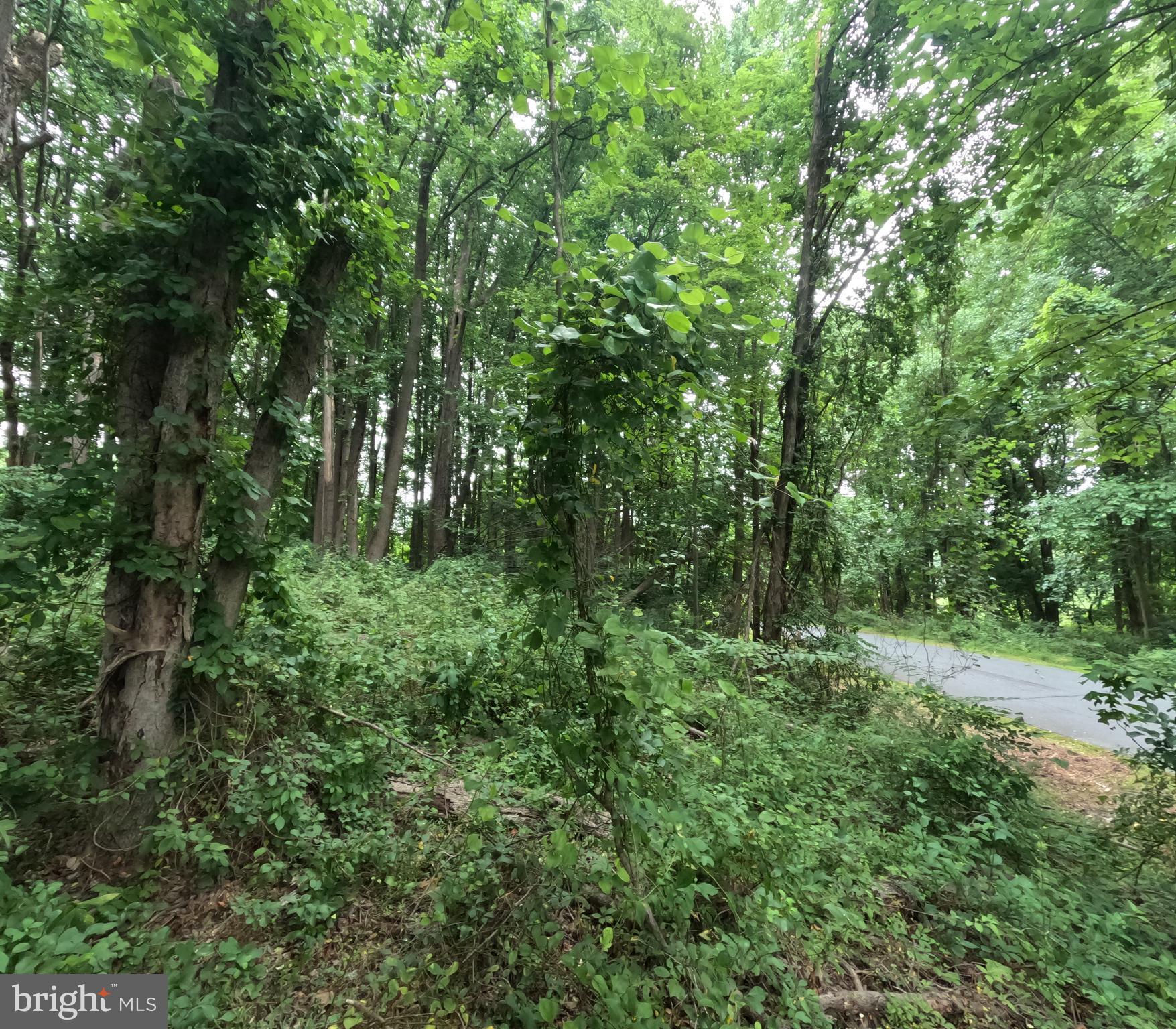 WHEATON OUT RES. (2) - Land