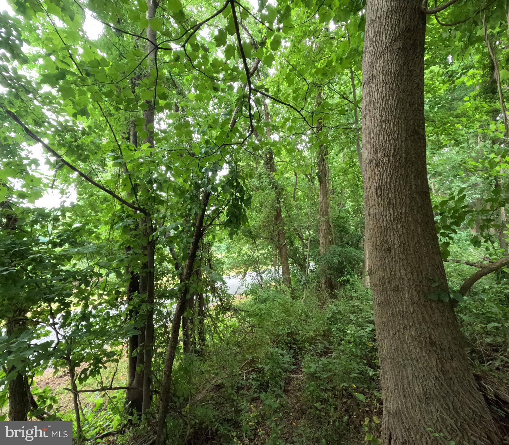 WHEATON OUT RES. (2) - Land