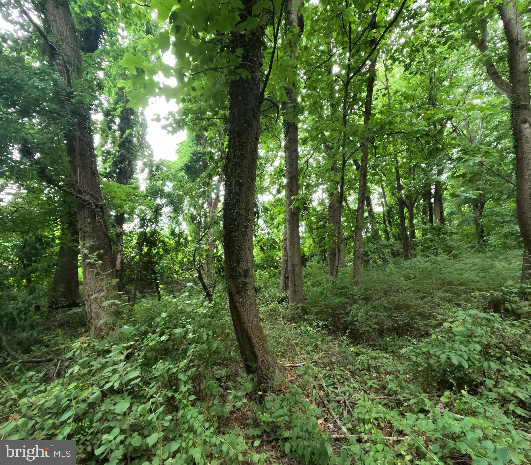 WHEATON OUT RES. (2) - Land