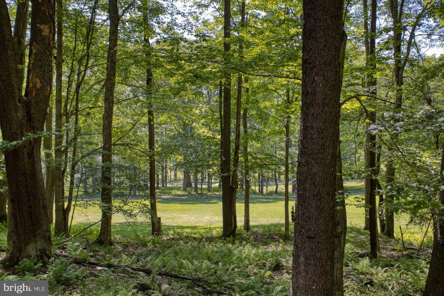 ALPINE LAKE RESORT - Residential