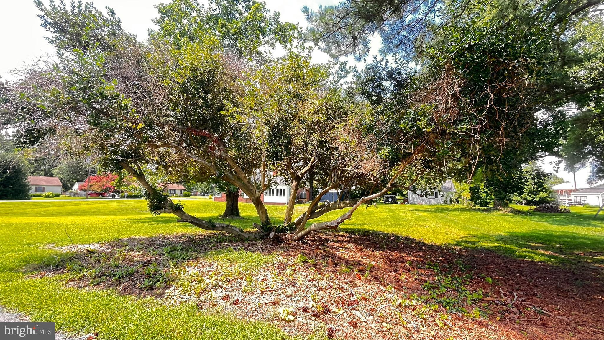 201 BUENA VISTA AVENUE