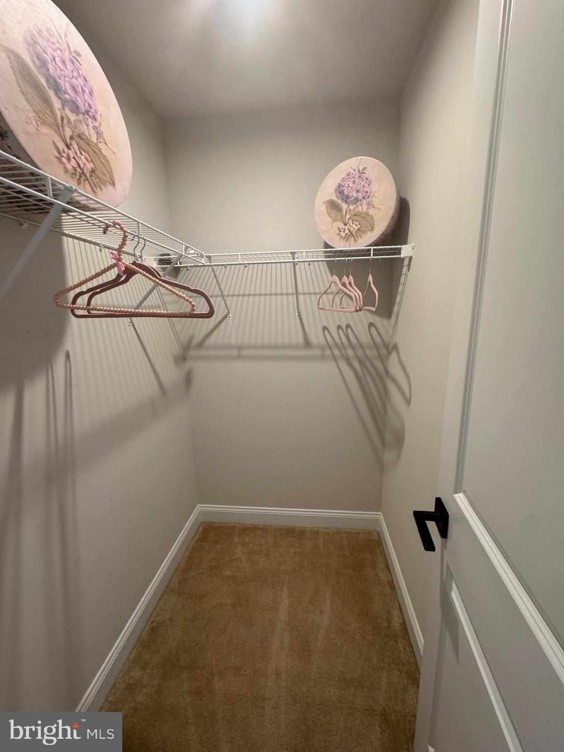 WHITE SPRINGS AT PROVIDENCE - Residential