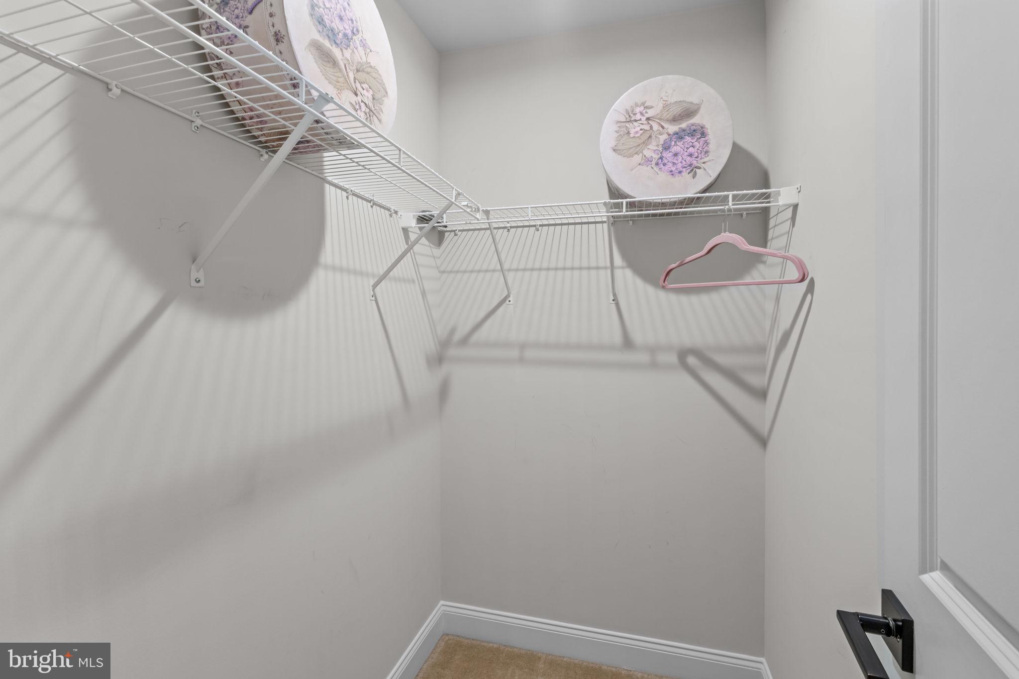 WHITE SPRINGS AT PROVIDENCE - Residential