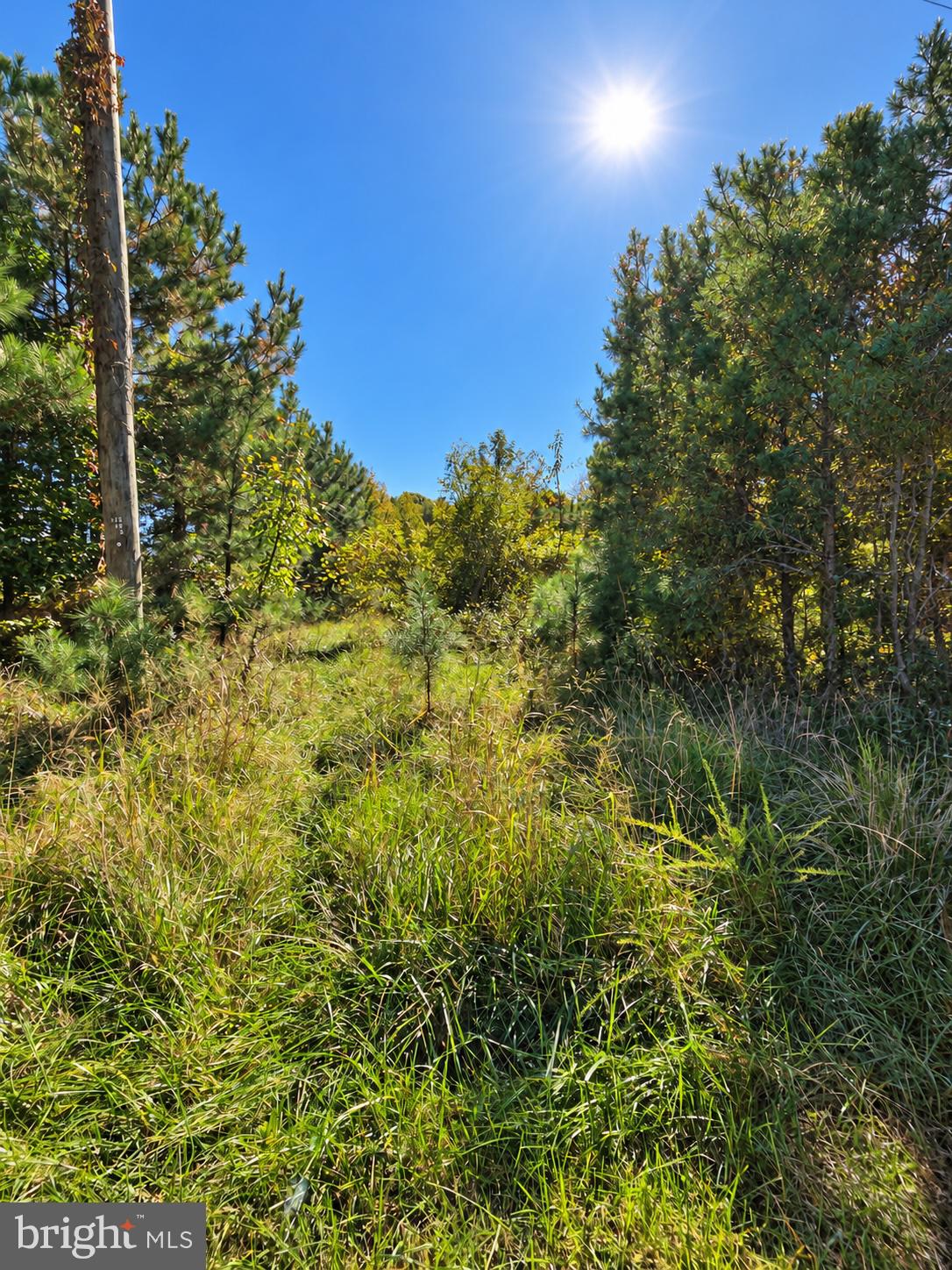 3205 BLACKWATER ROAD