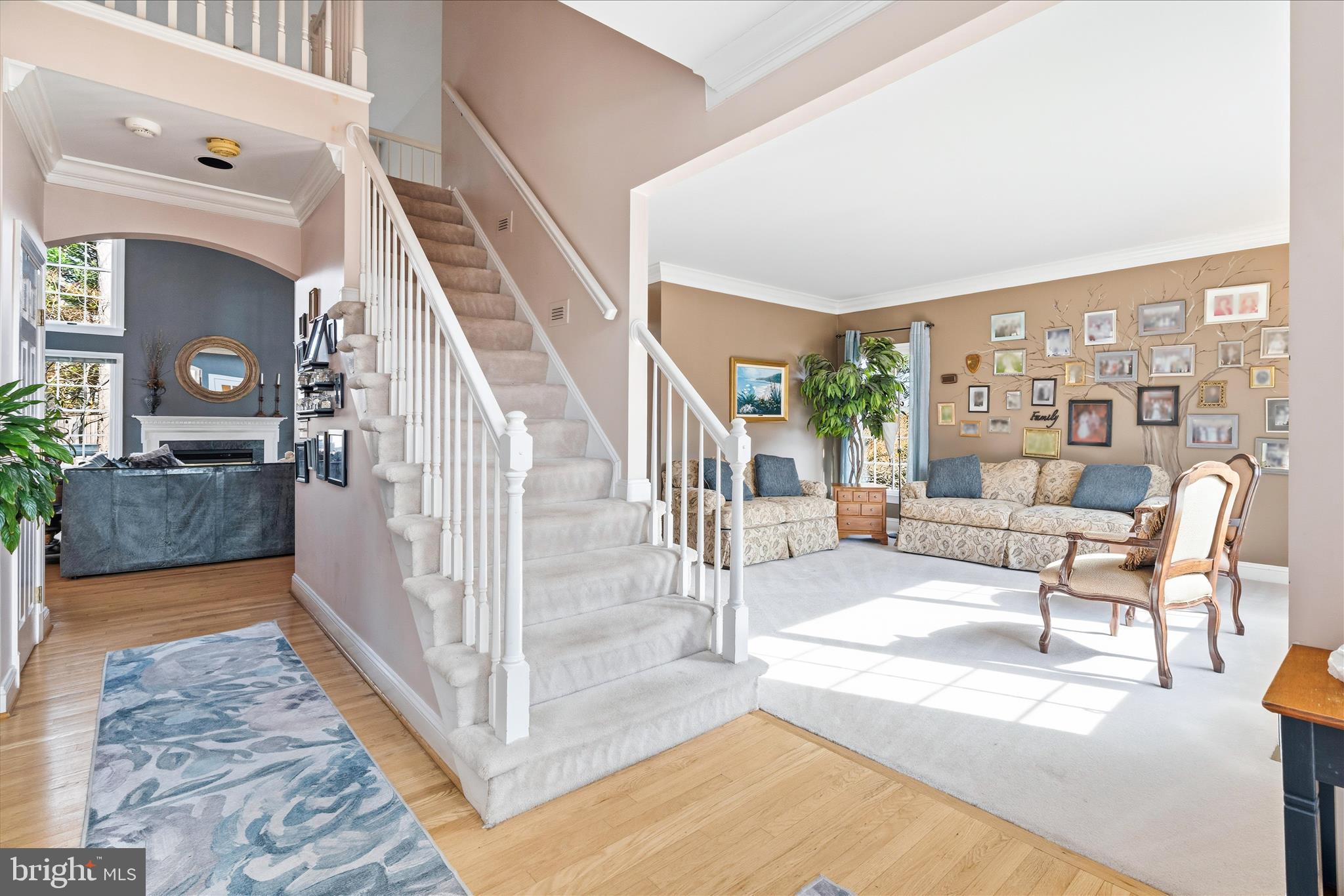 SHIPLEYS CHOICE - Residential