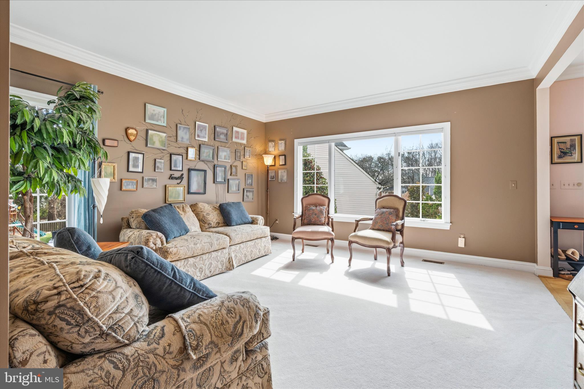 SHIPLEYS CHOICE - Residential