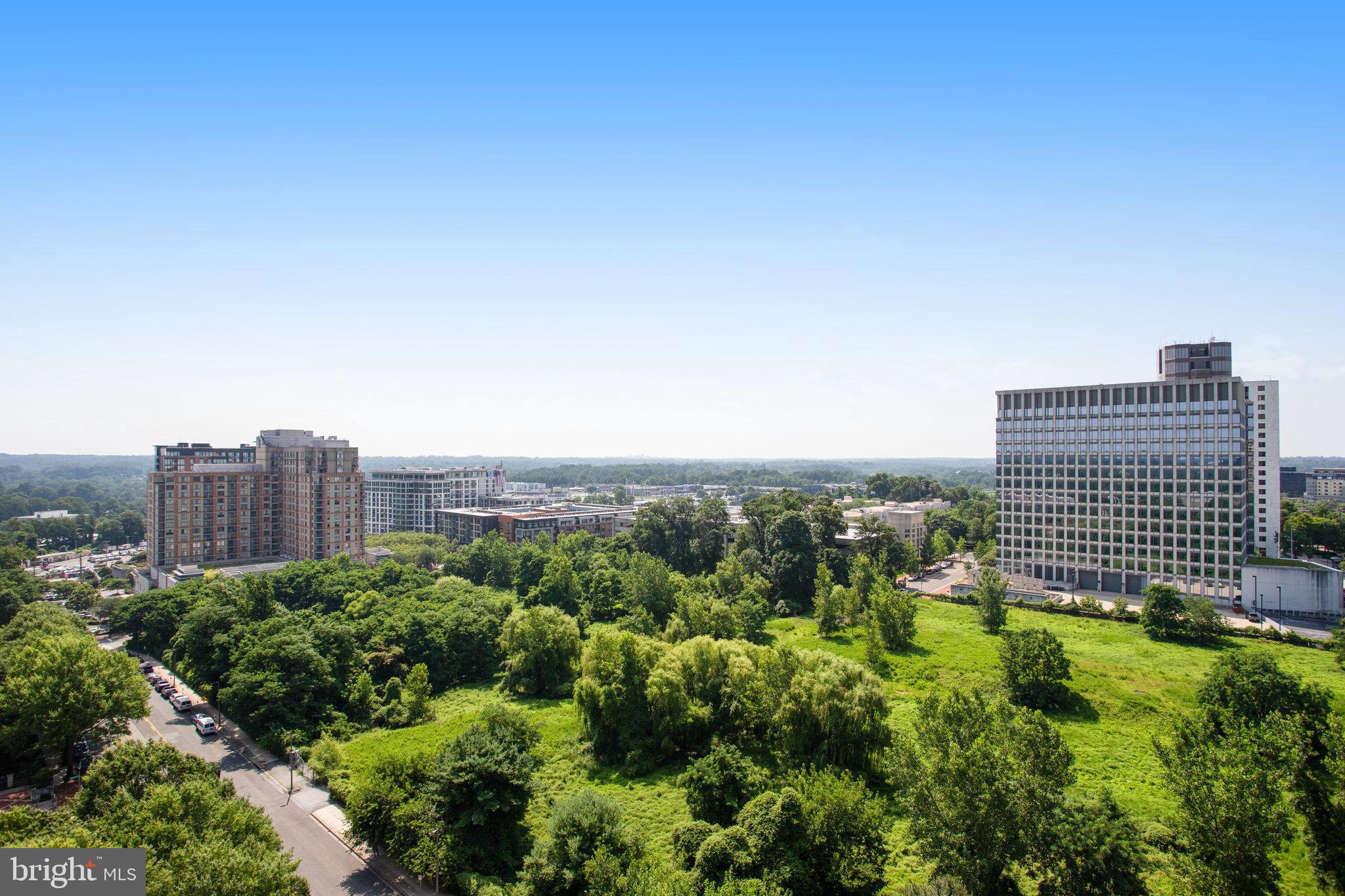 THE GALLERY - Residential Lease