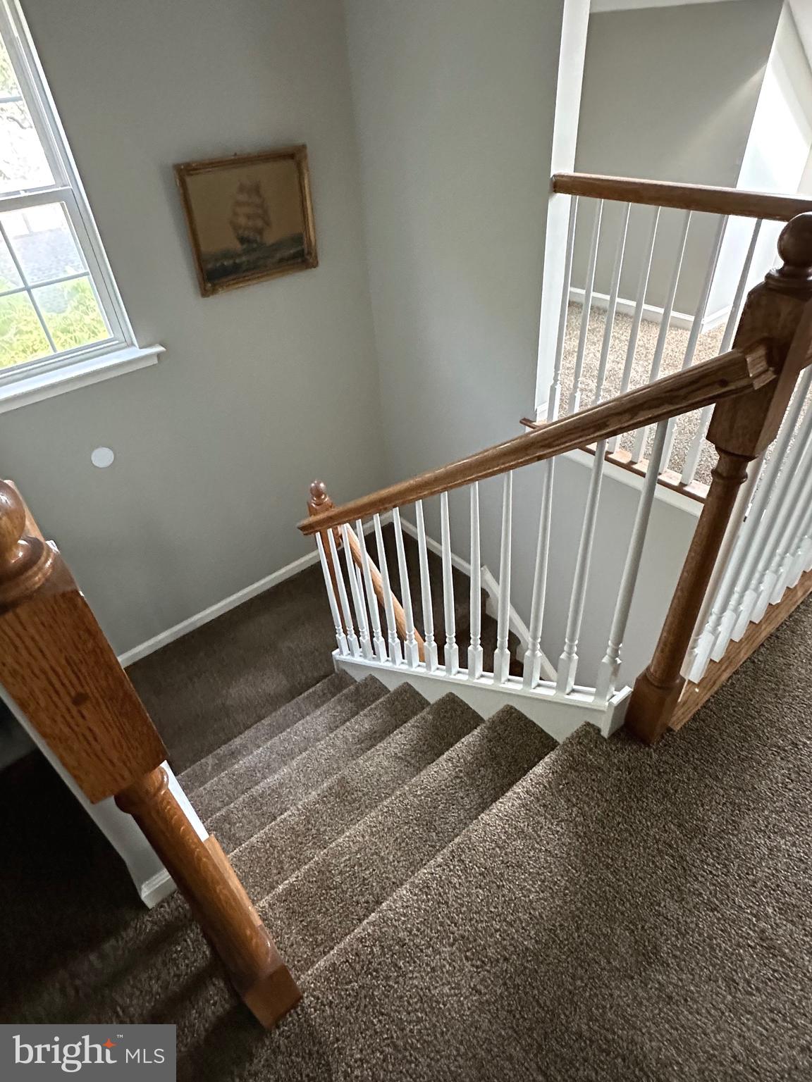 BRADFORD POINTE - Residential