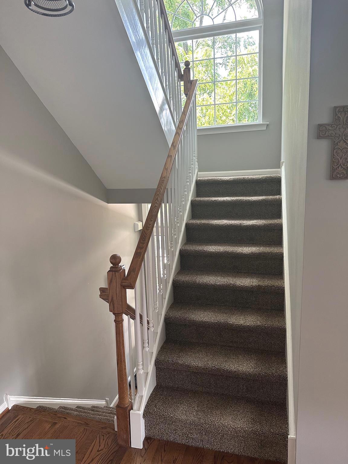 BRADFORD POINTE - Residential