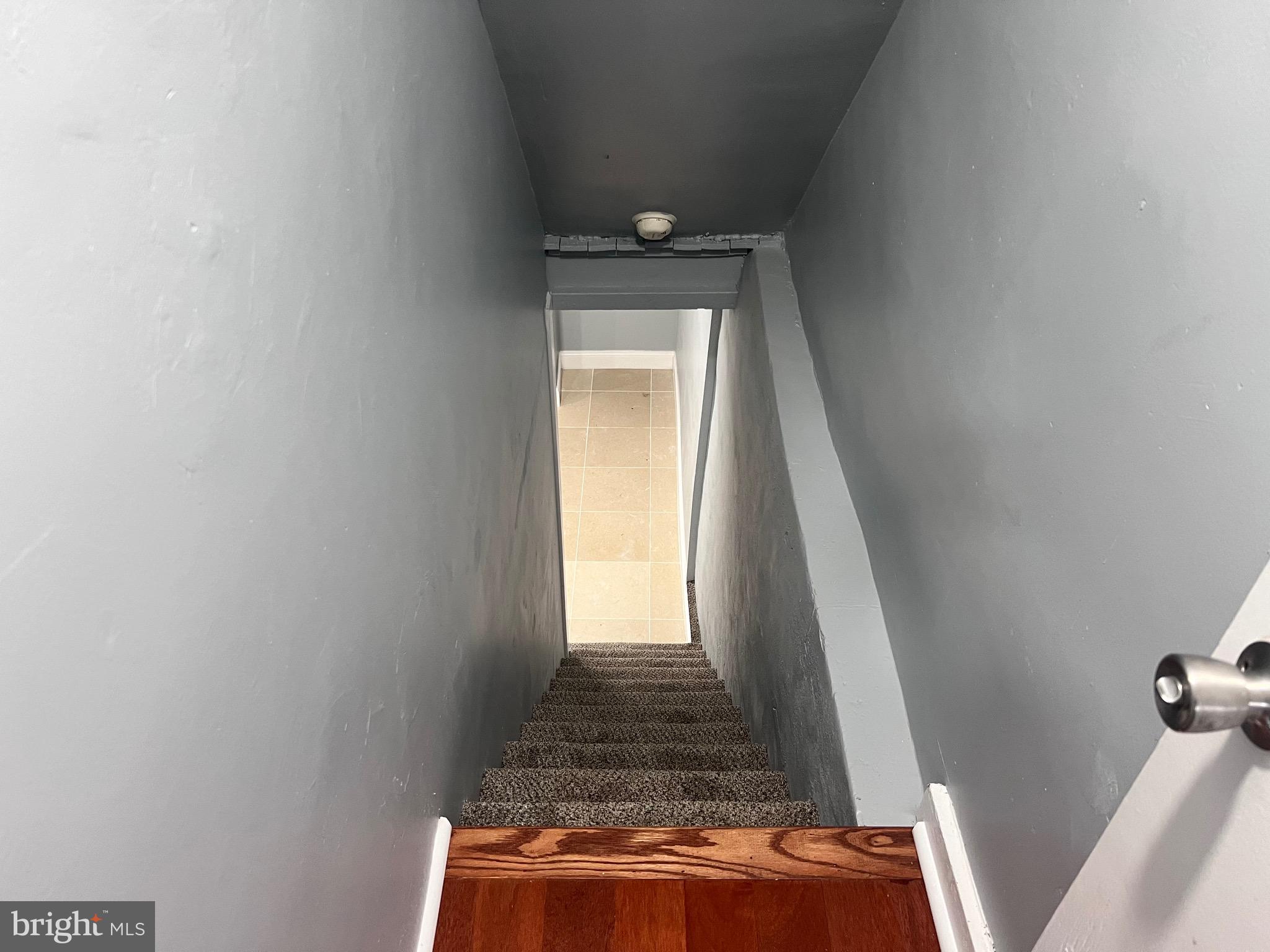 OXFORD CIRCLE - Residential