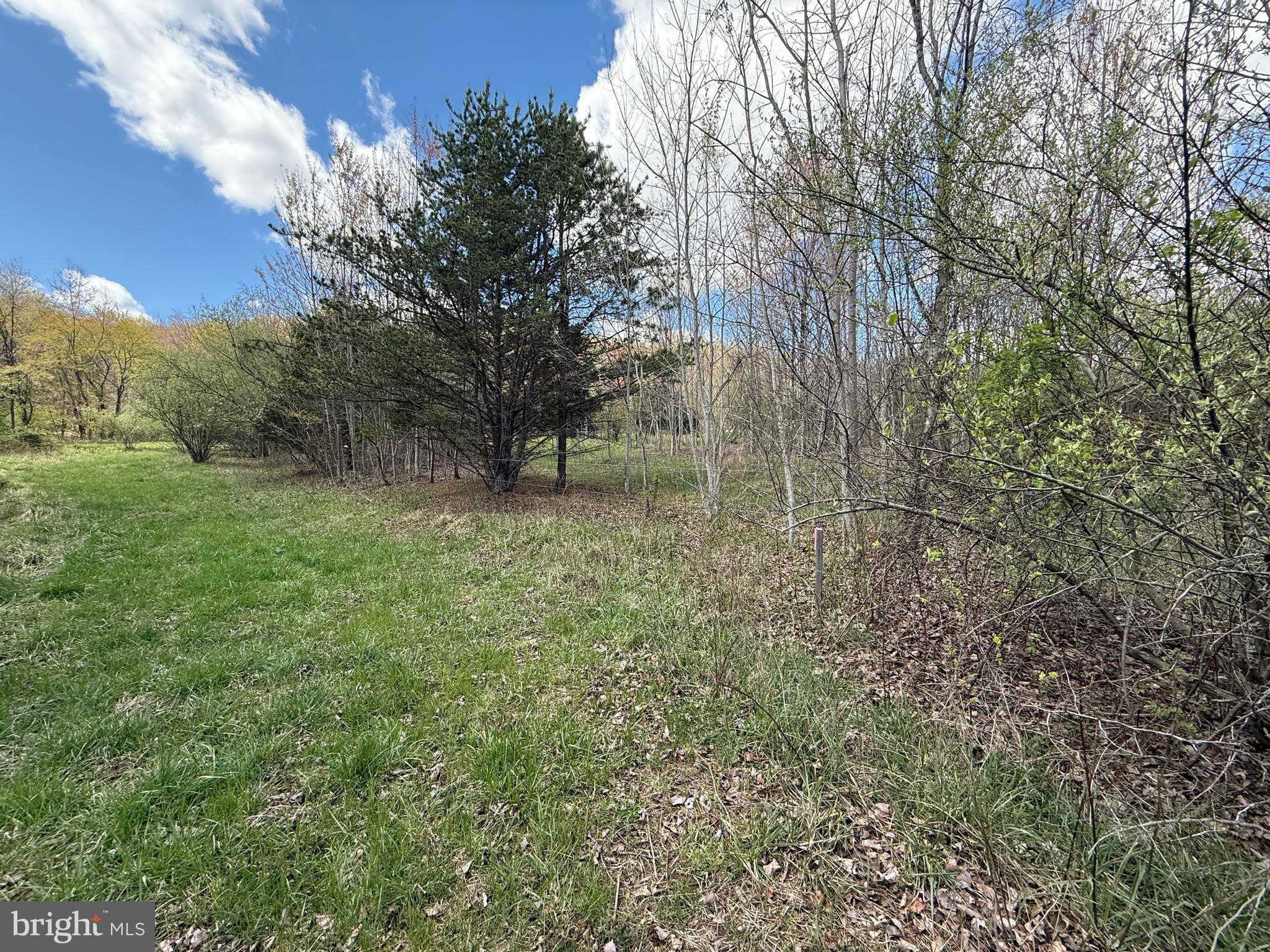 CRESCENT ORCHARDS - Land