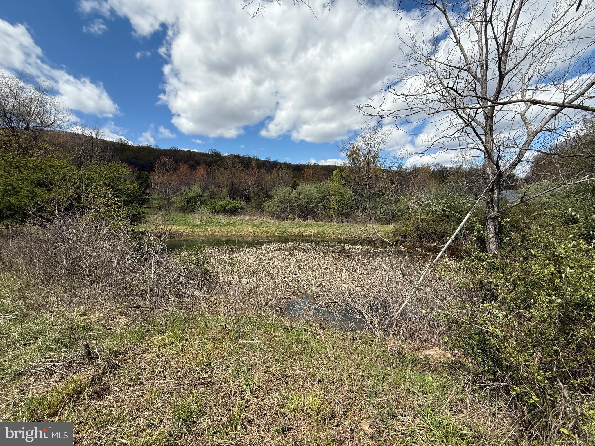 CRESCENT ORCHARDS - Land