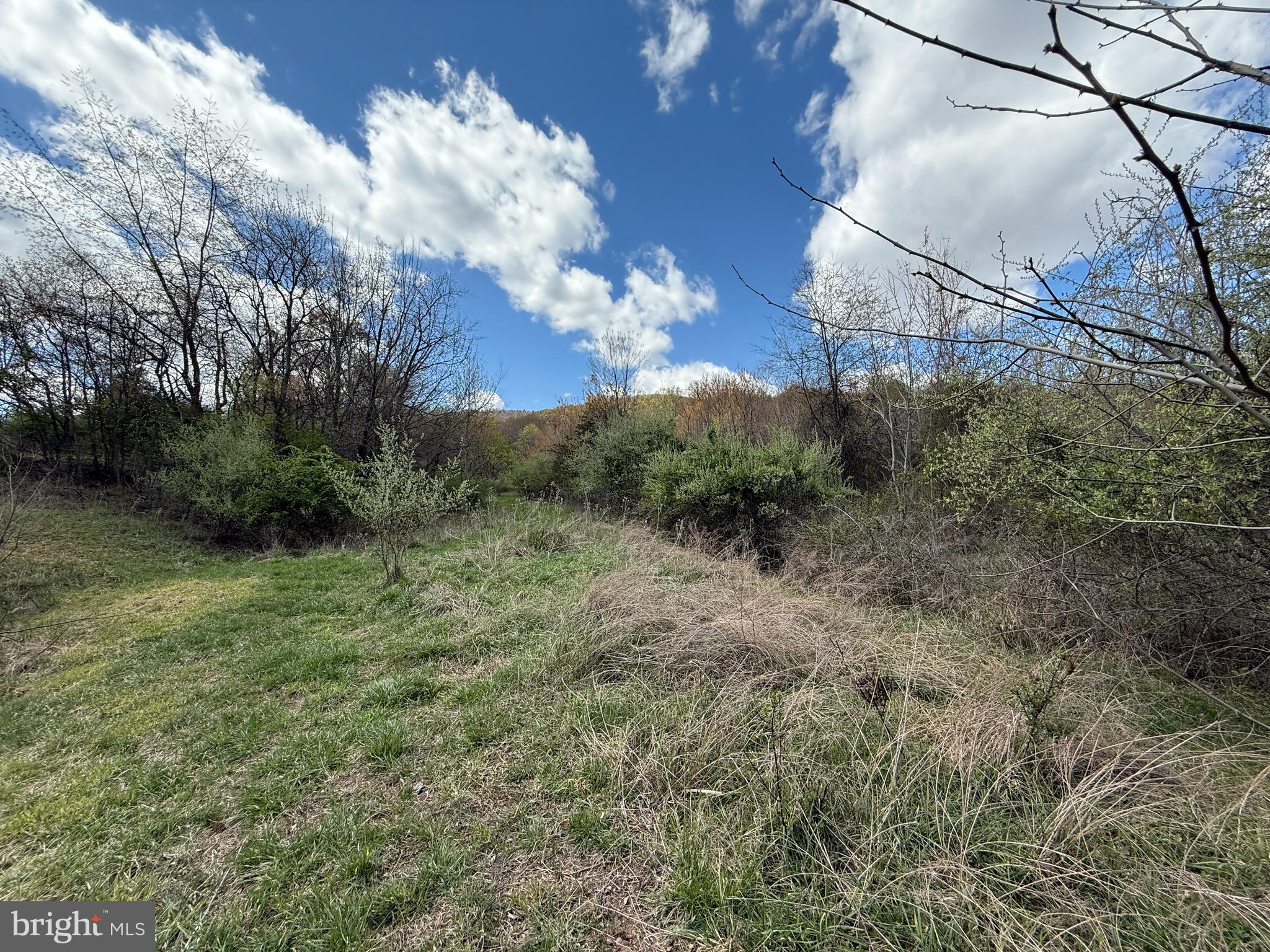 CRESCENT ORCHARDS - Land