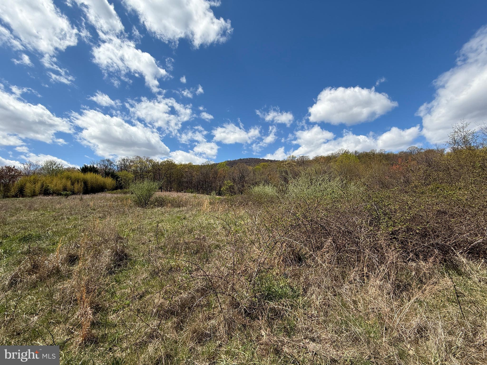 CRESCENT ORCHARDS - Land