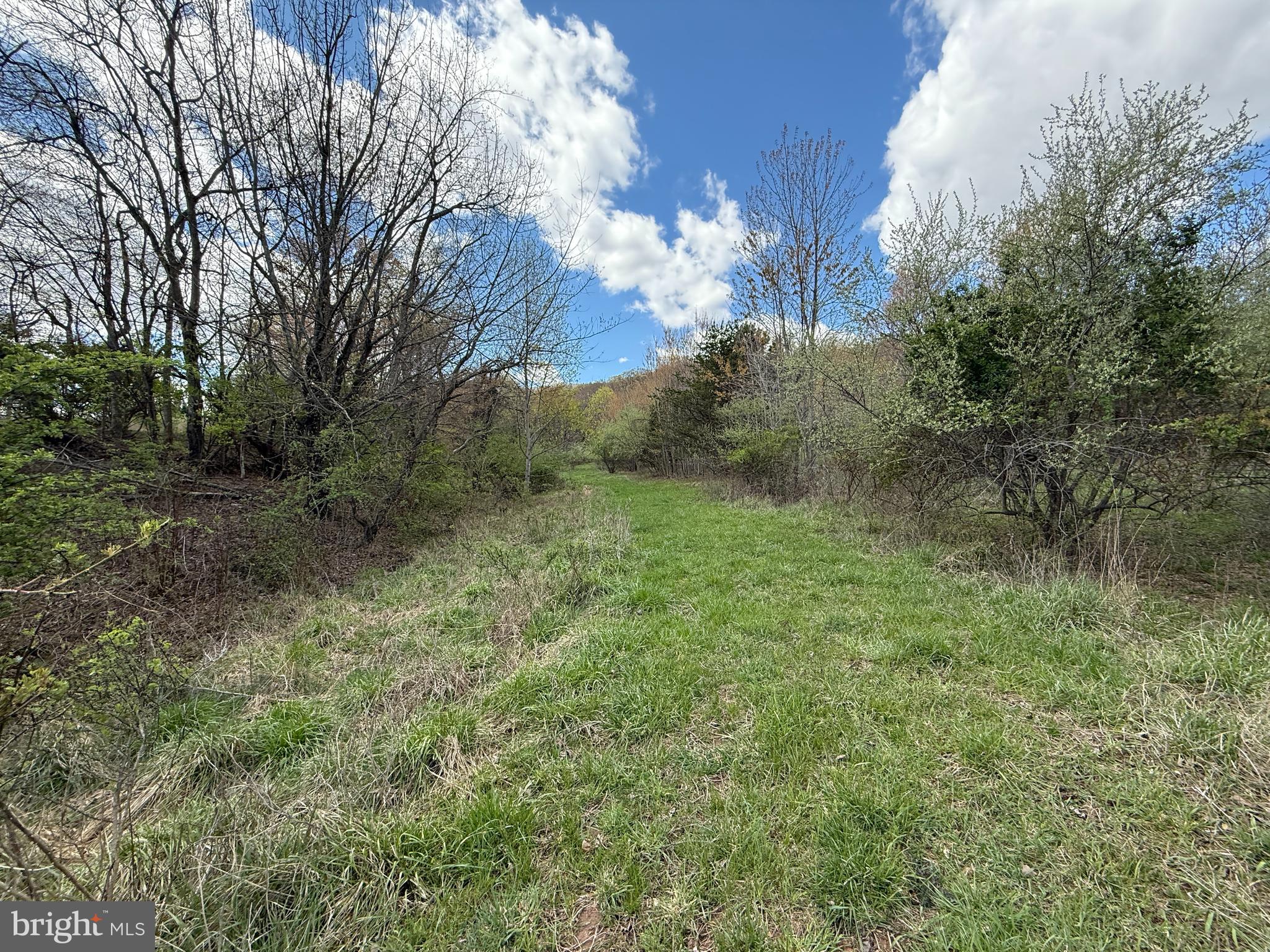 CRESCENT ORCHARDS - Land