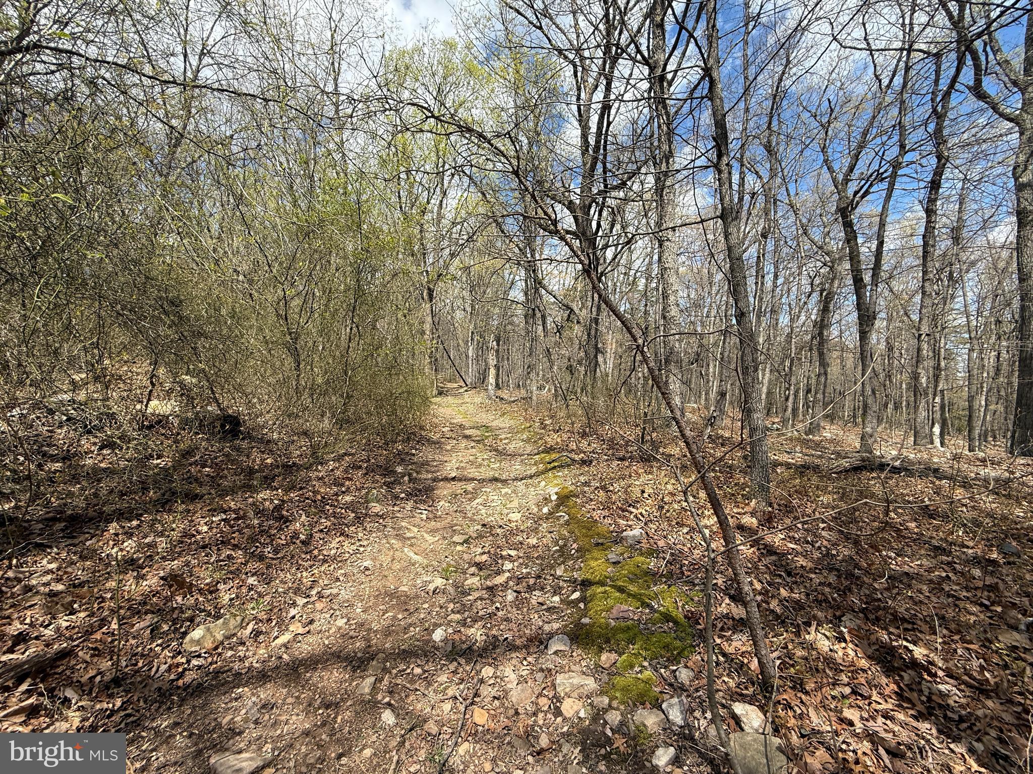 CRESCENT ORCHARDS - Land
