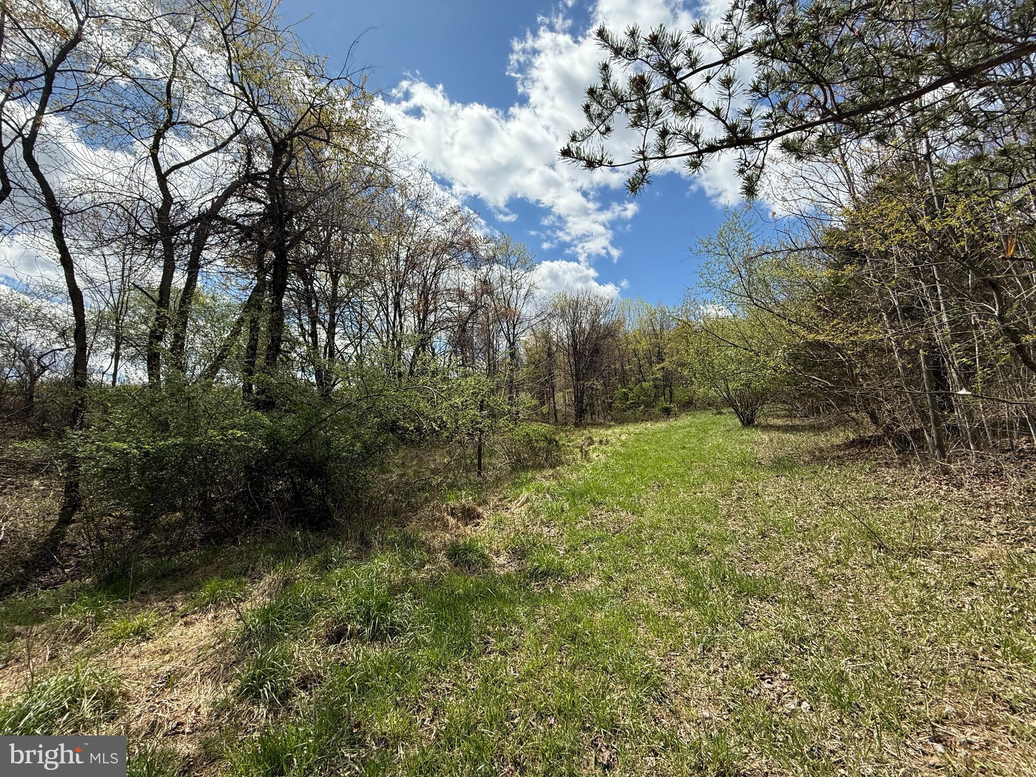 CRESCENT ORCHARDS - Land