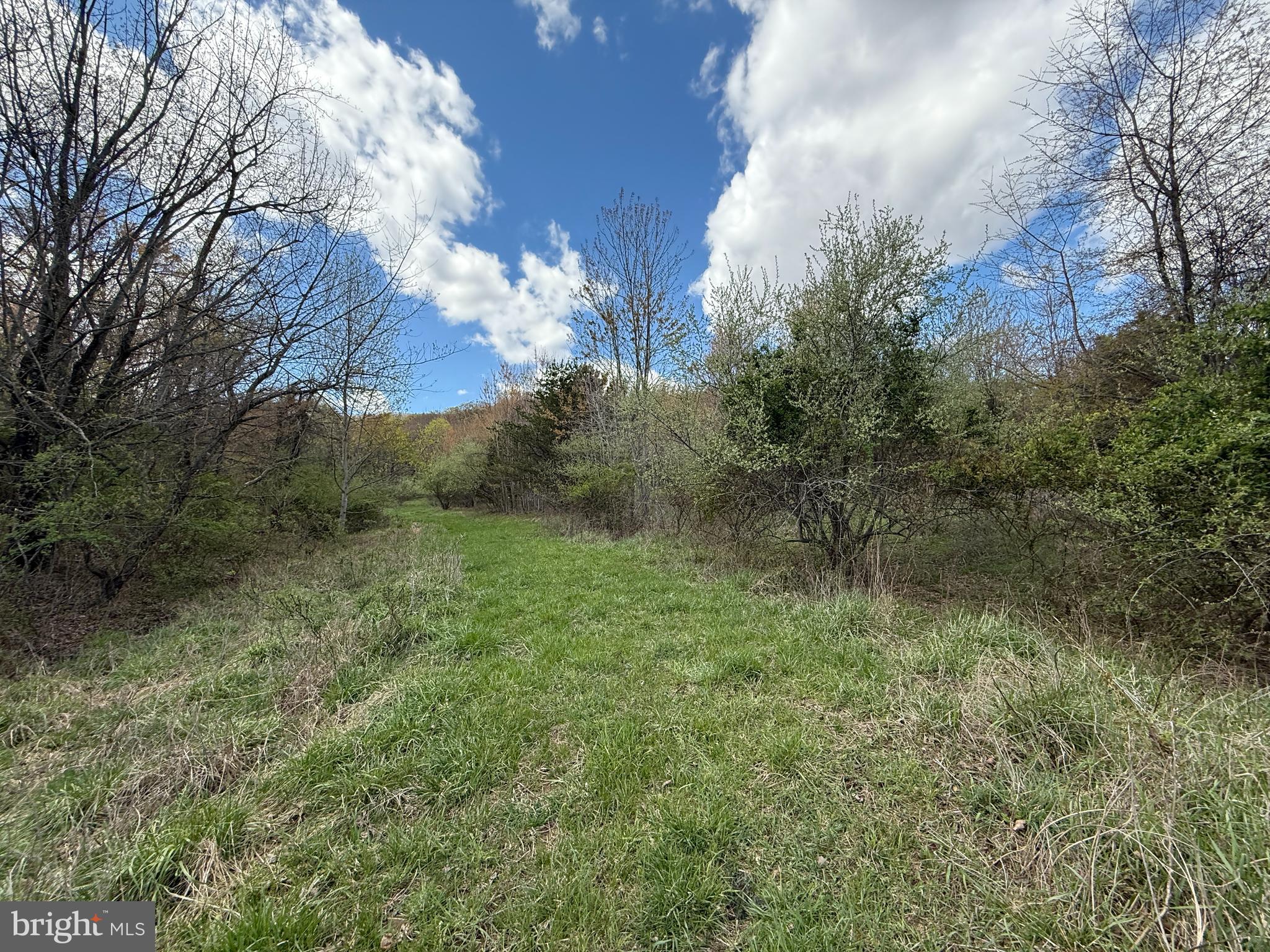 CRESCENT ORCHARDS - Land