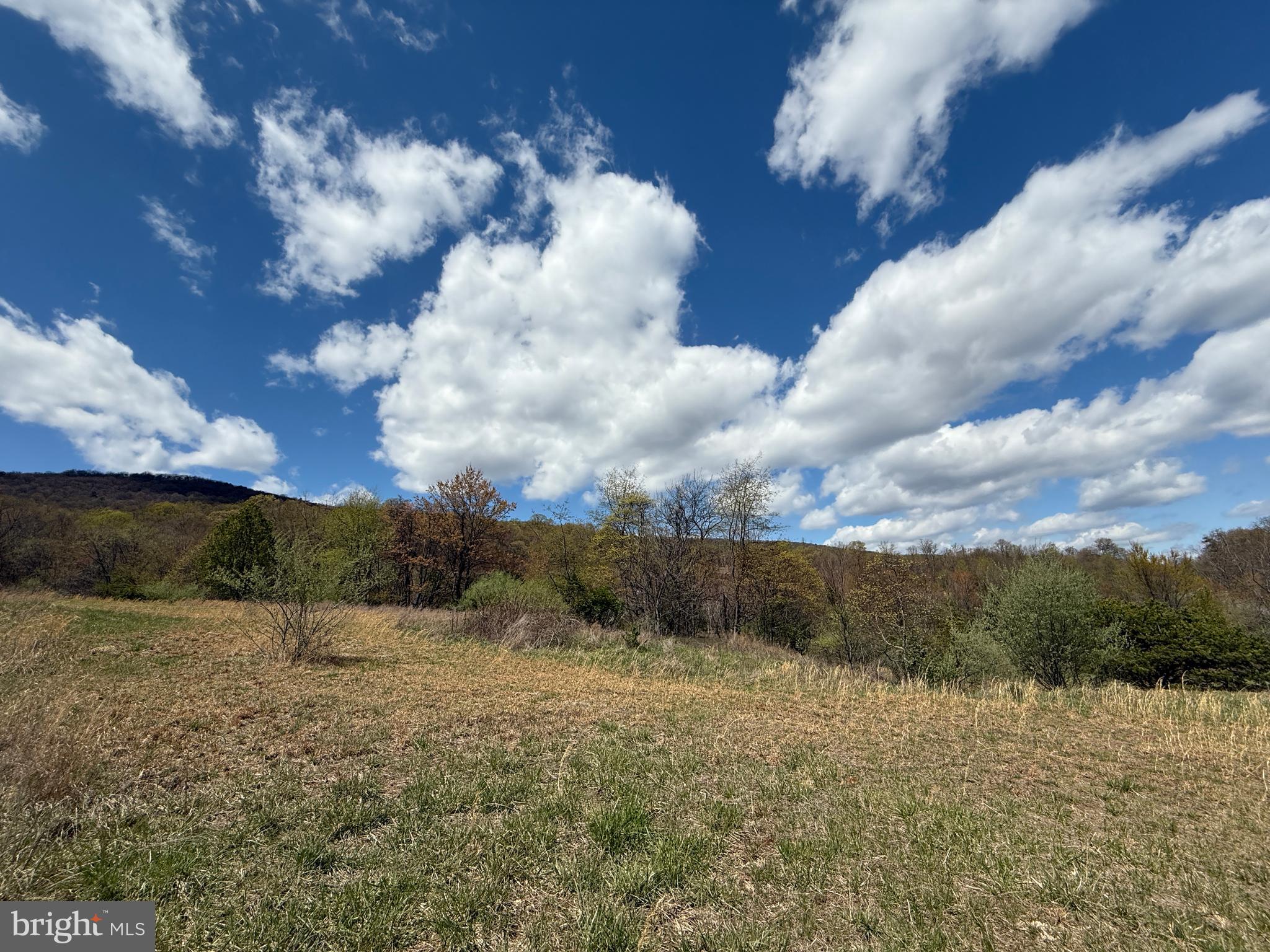 CRESCENT ORCHARDS - Land