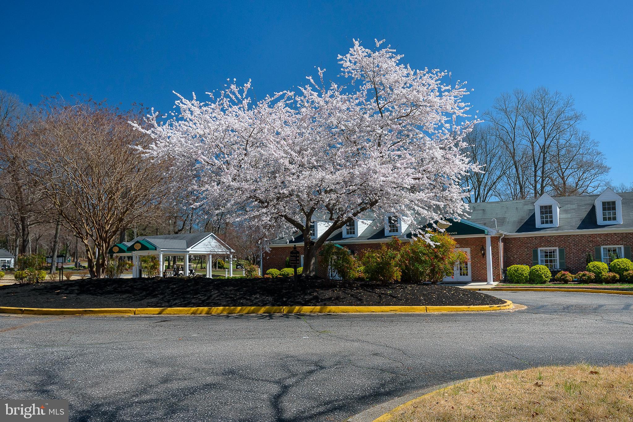 CEDAR GROVE AT CROFTON - Residential