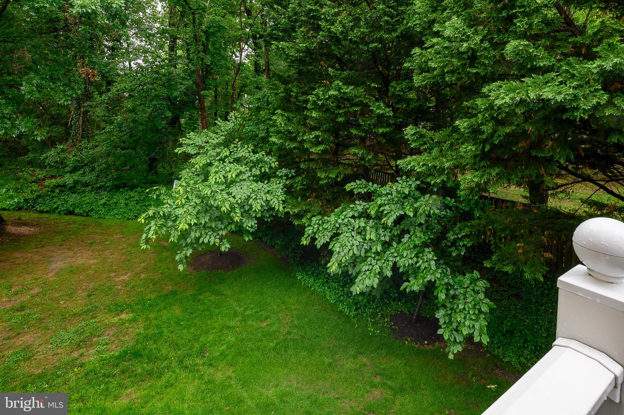 CEDAR GROVE AT CROFTON - Residential