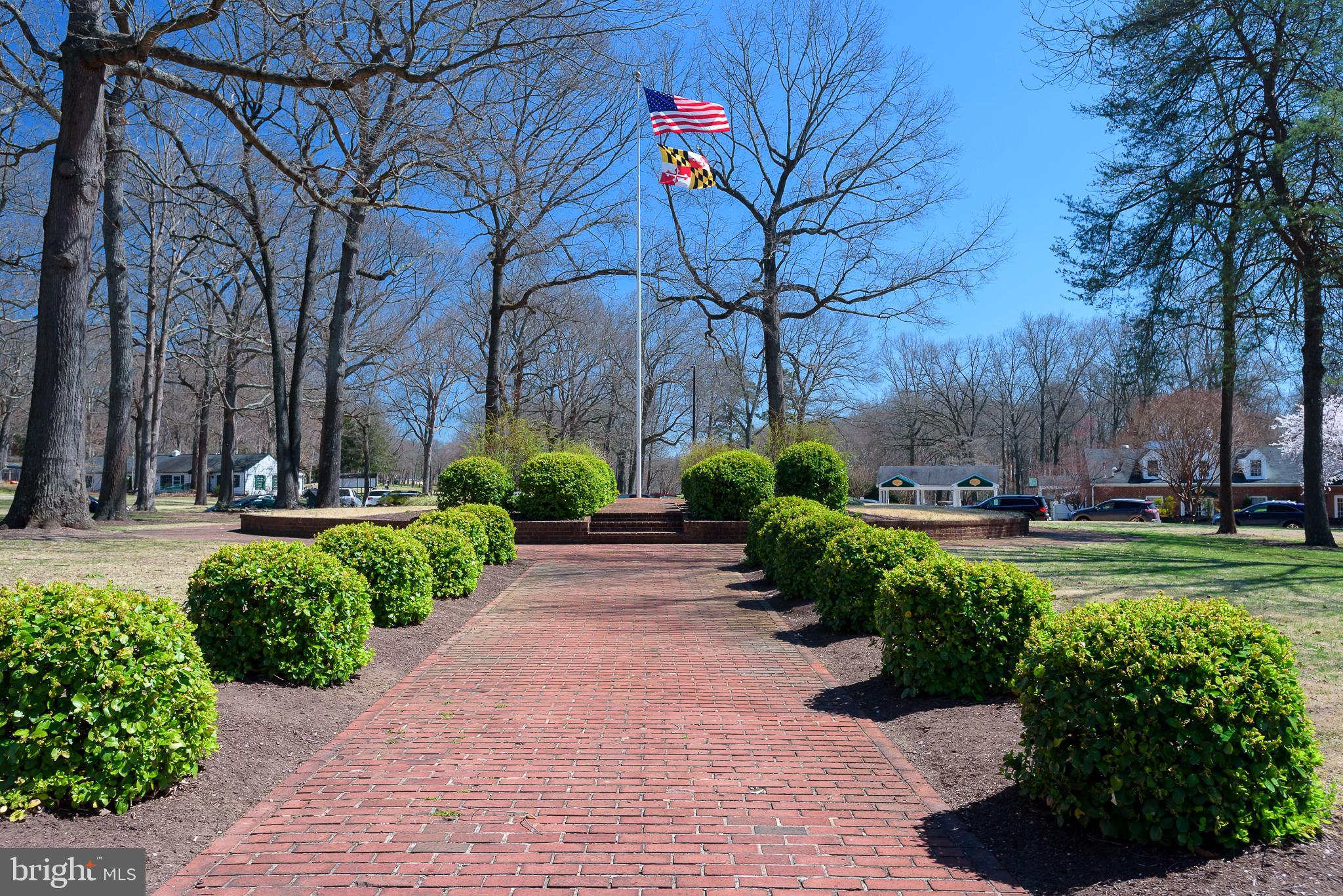 CEDAR GROVE AT CROFTON - Residential