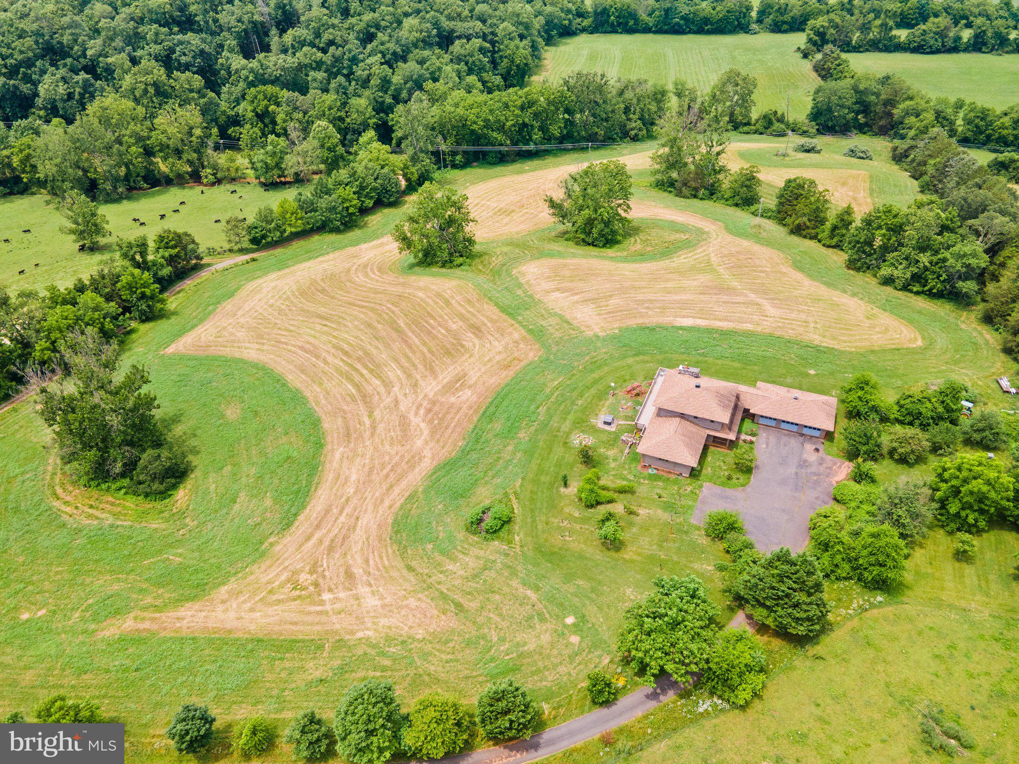 NONE AVAILABLE - Farm