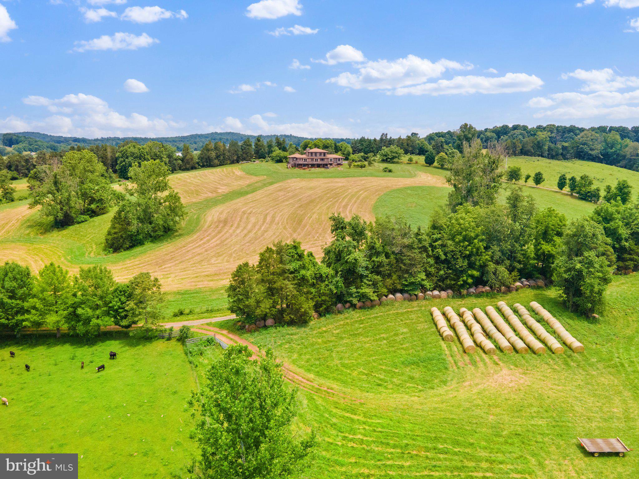 NONE AVAILABLE - Farm