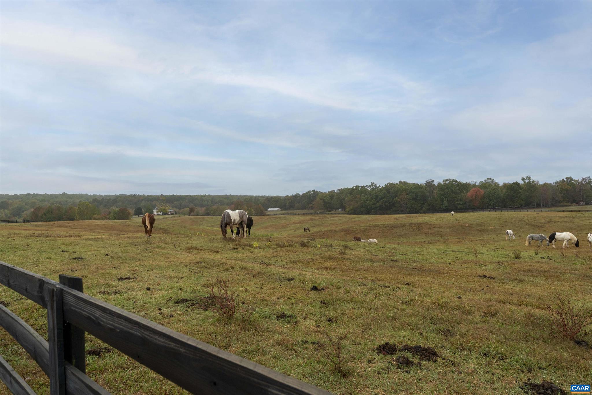SHENANDOAH CROSSING - Residential