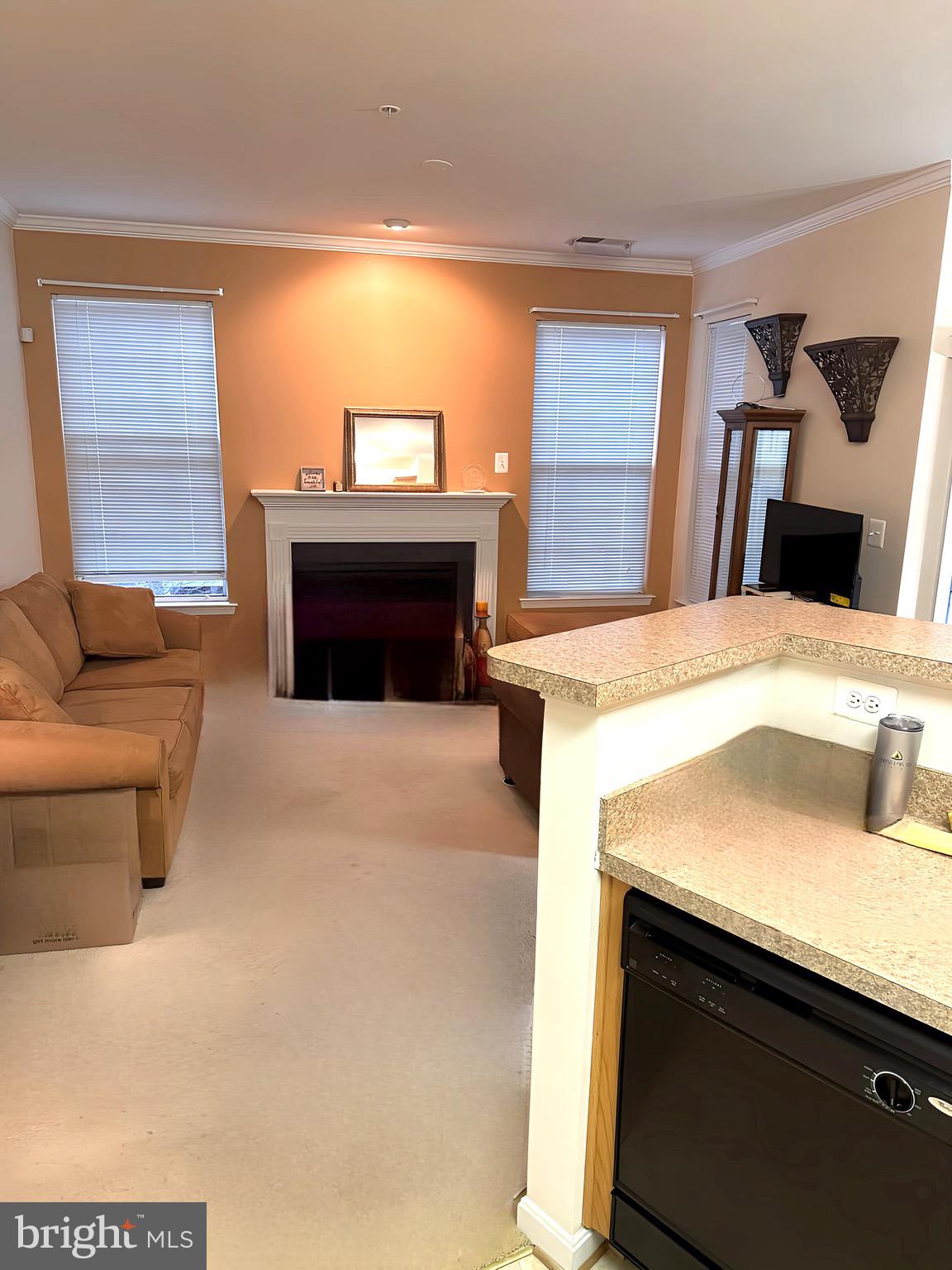 THE AVENUE AT FOREST RUN - Residential