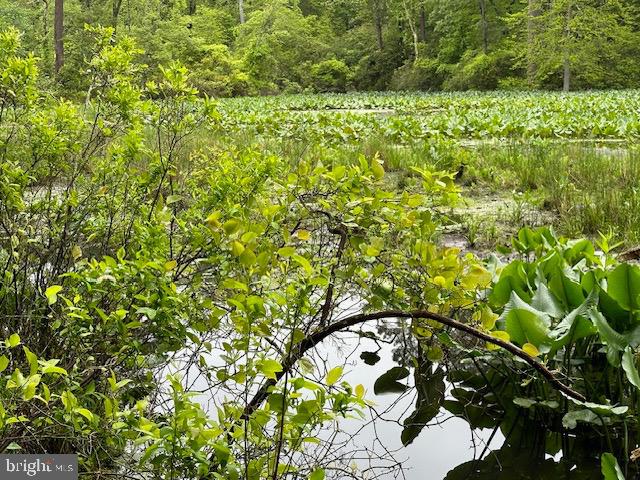 KNIGHTS LANDING - Land