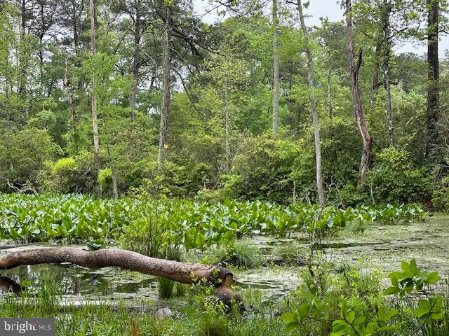 KNIGHTS LANDING - Land