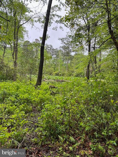 KNIGHTS LANDING - Land