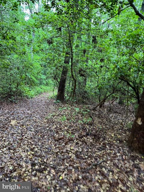 KNIGHTS LANDING - Land