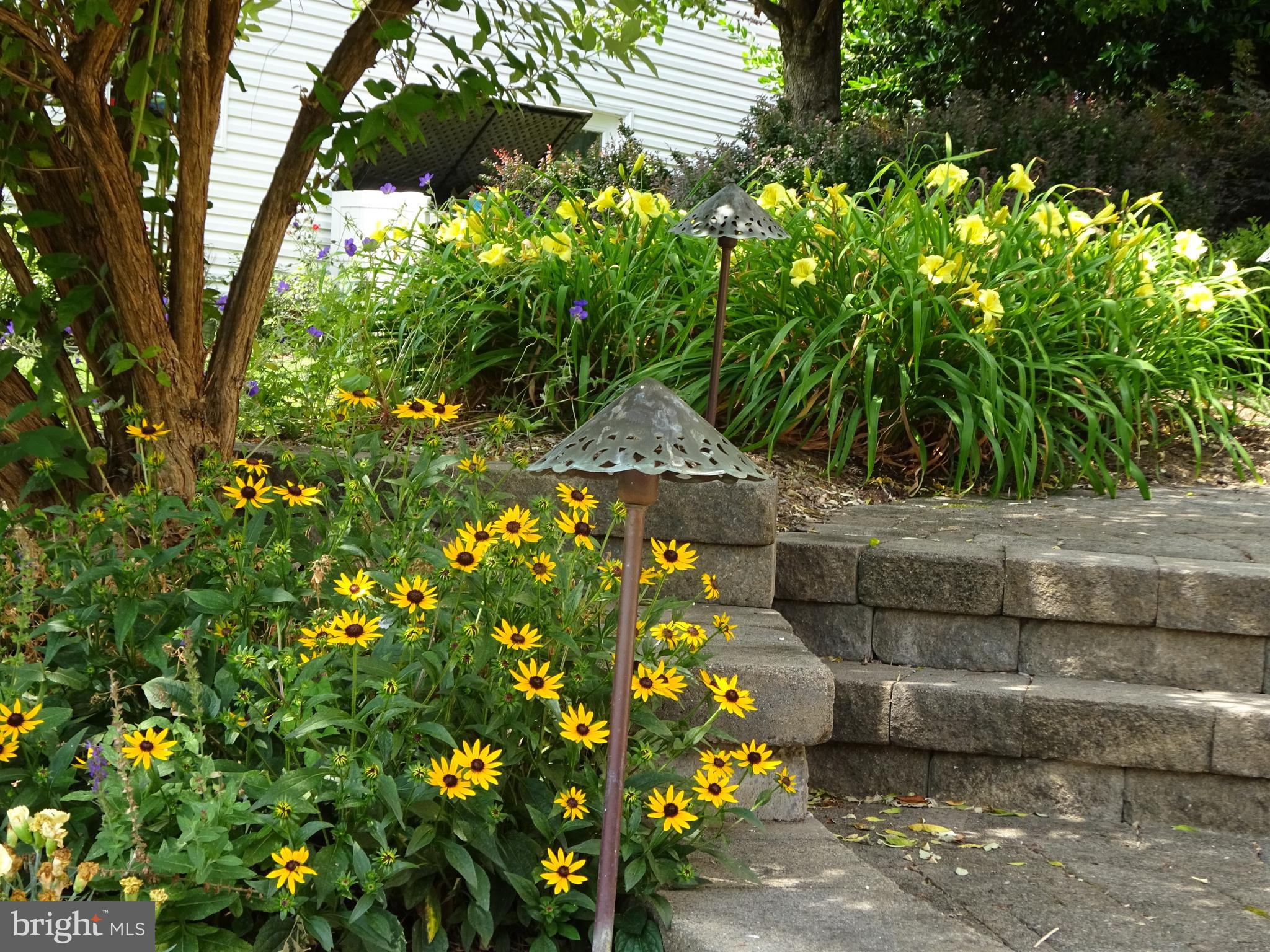 SIGNAL HILL - Residential