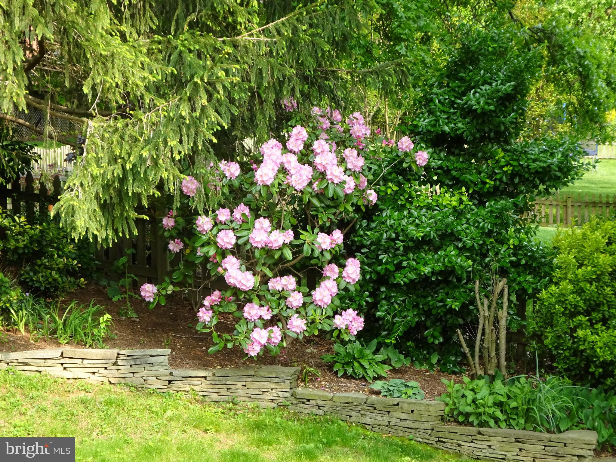 SIGNAL HILL - Residential