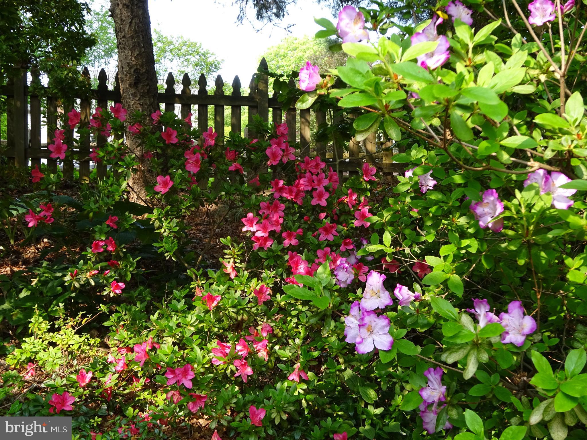 SIGNAL HILL - Residential