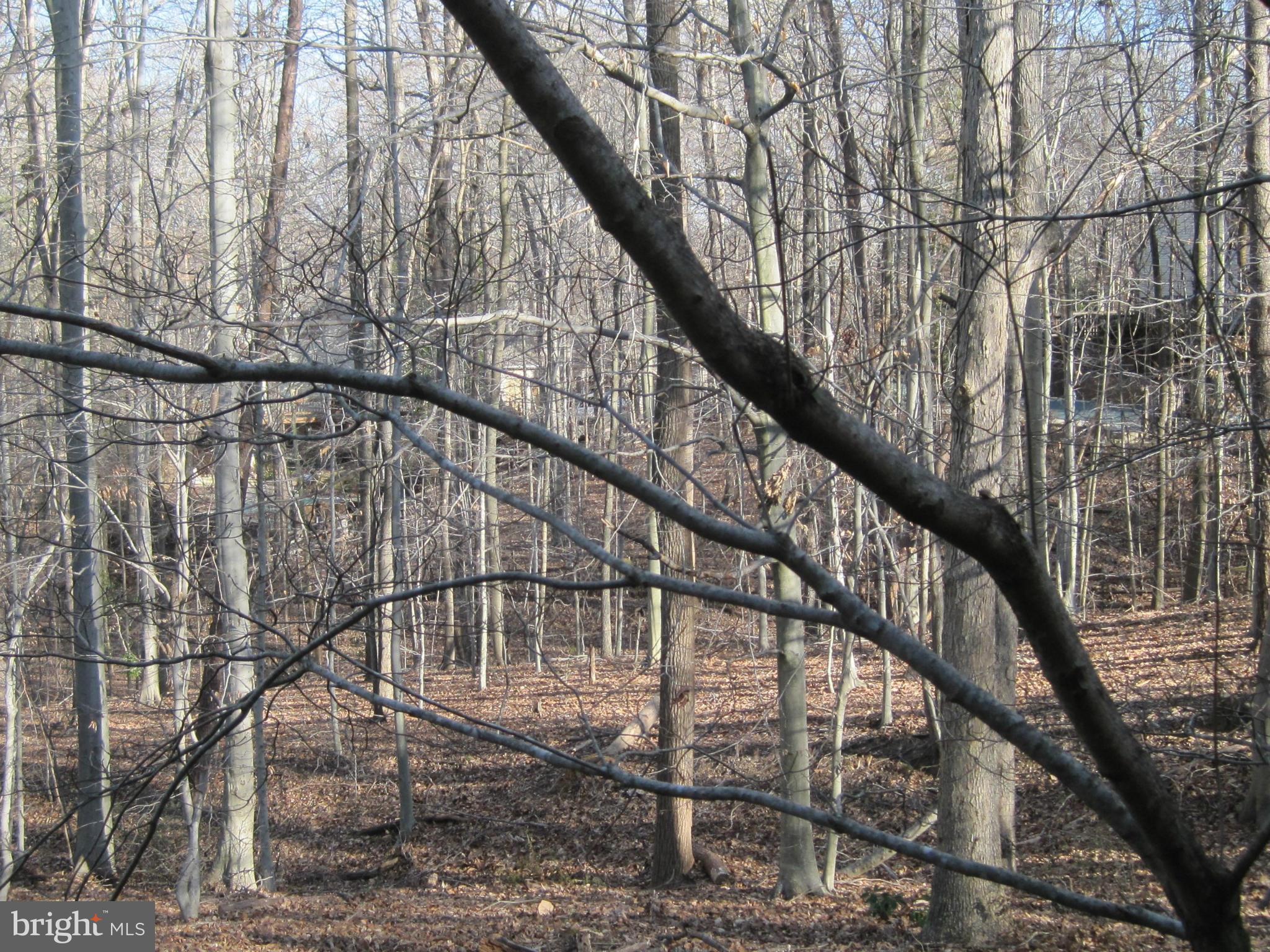 LAKE RIDGE - Residential Lease