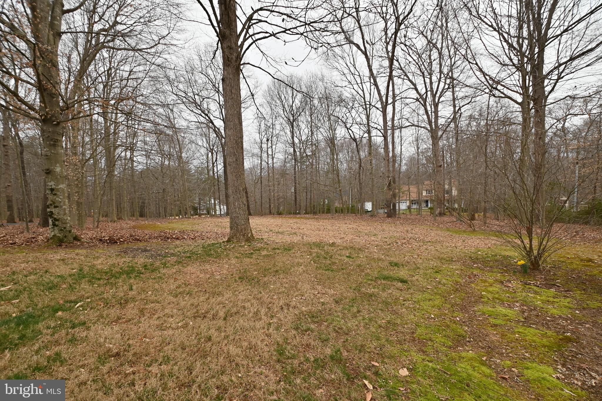 COLONY CREEK - Residential