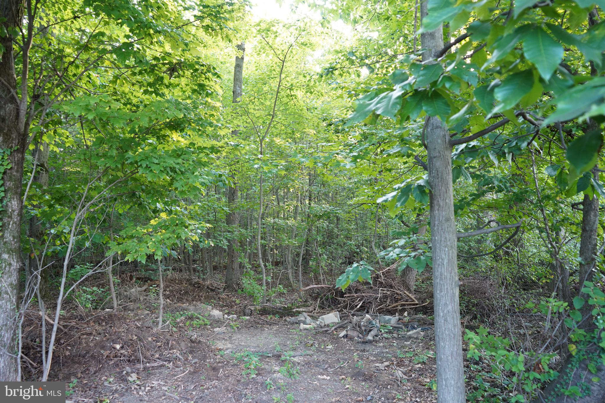 WHITE MARSH - Residential