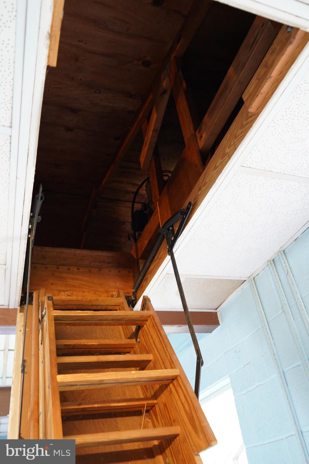 WHITE MARSH - Residential