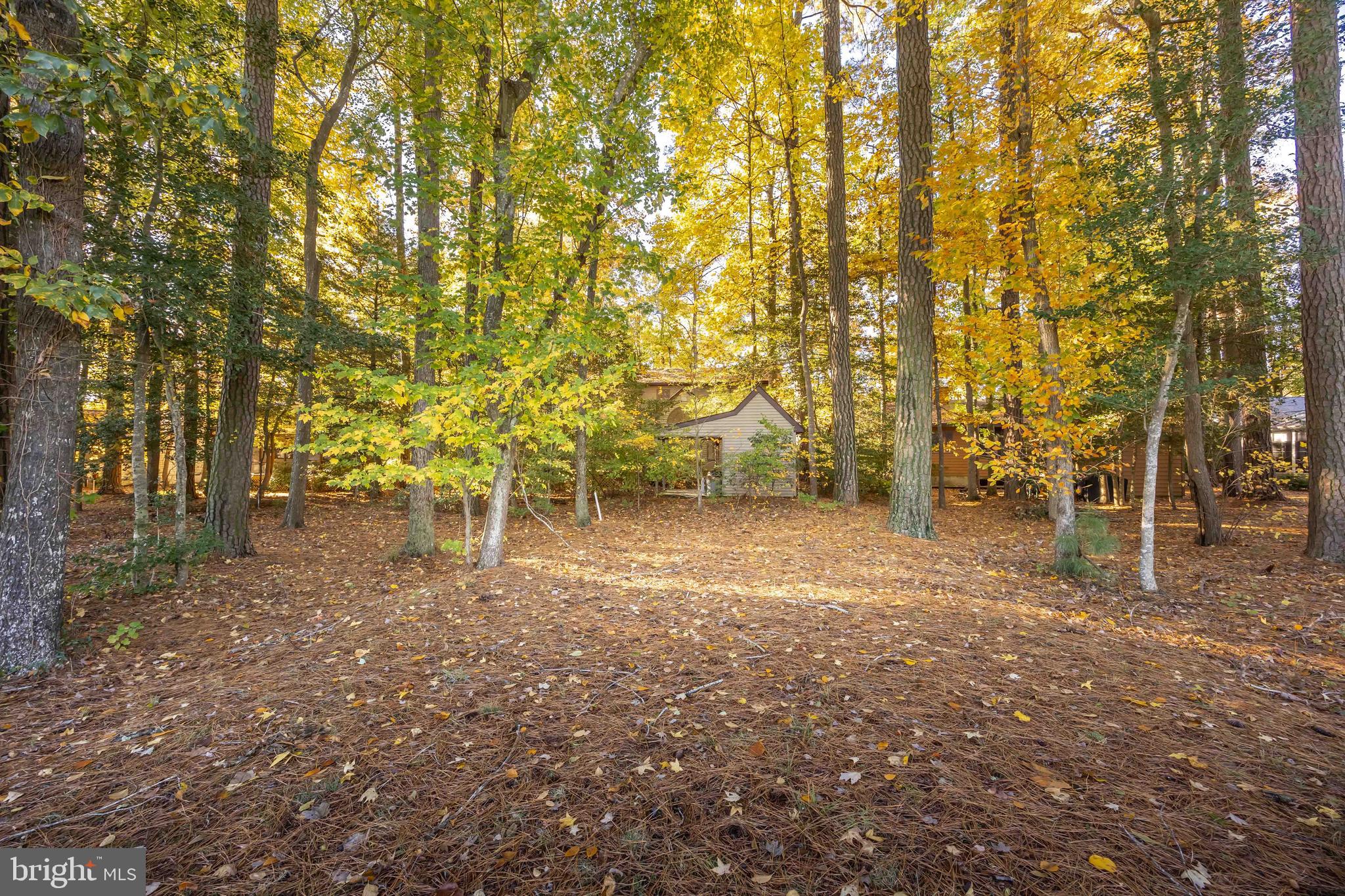 OCEAN PINES - BAY COLONY - Residential