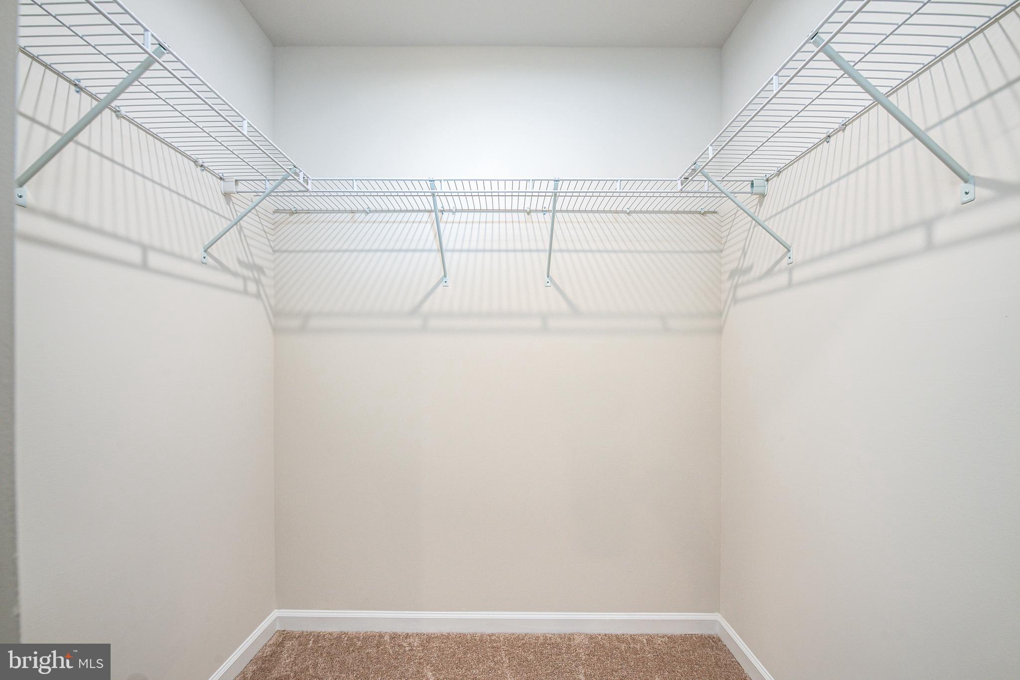 CEDAR SPRING - Residential Lease