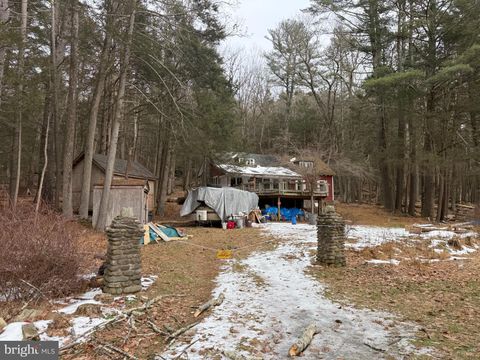 Photo of 4560 Route 447, CANADENSIS, PA 18325 (MLS # PAMR2006044)