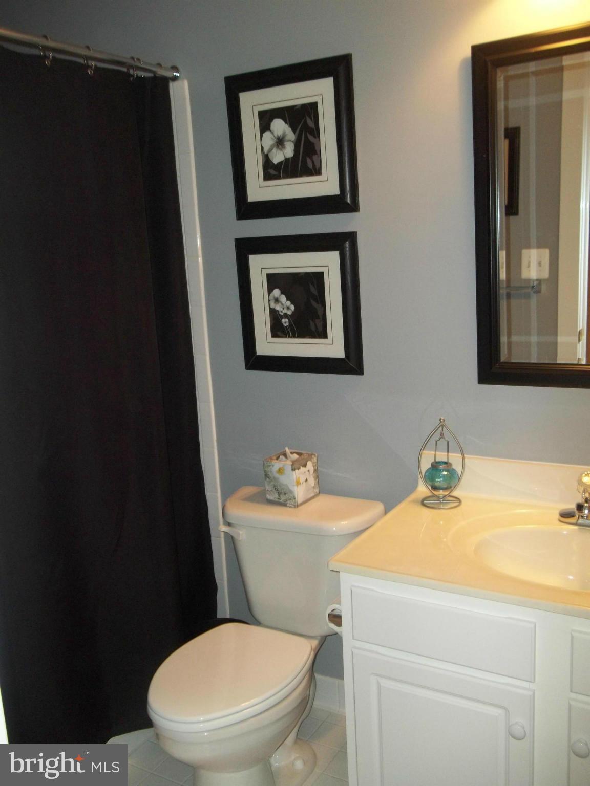 MEADOWS AT MORRIS FARM - Residential