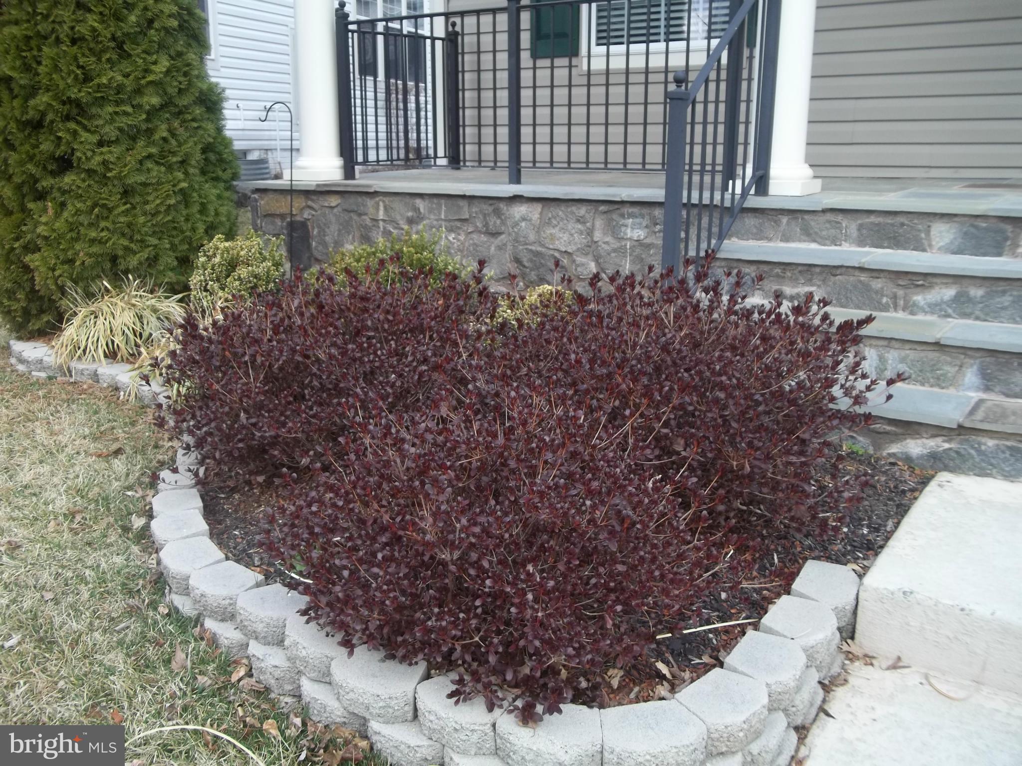 MEADOWS AT MORRIS FARM - Residential