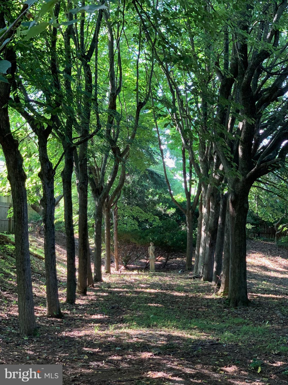 COACH HOUSE - Residential