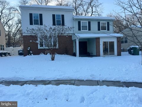 1 KENDALL MARLTON NJ 08053