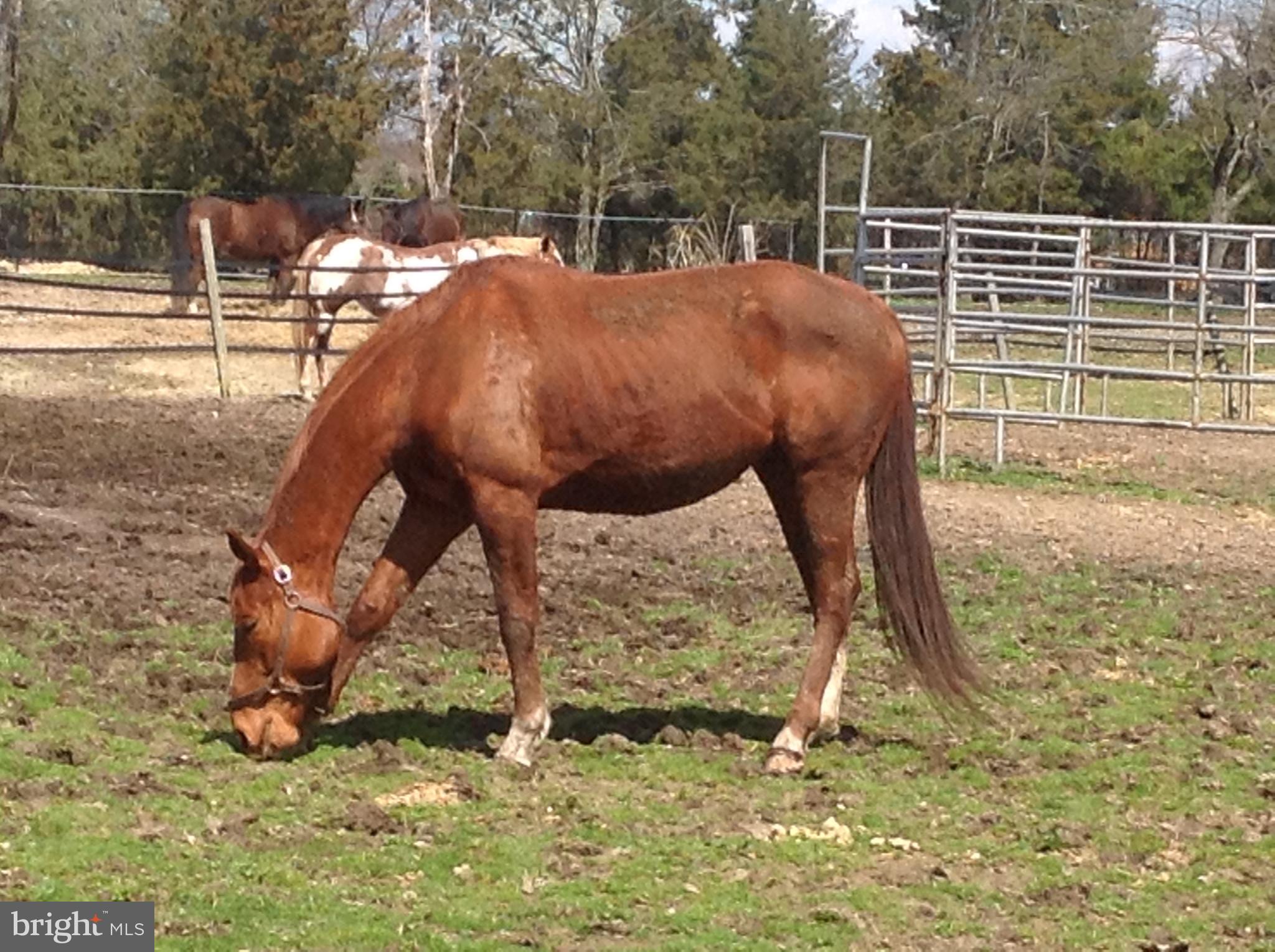 HUNTINGTON AT MT VERNON - Residential Lease