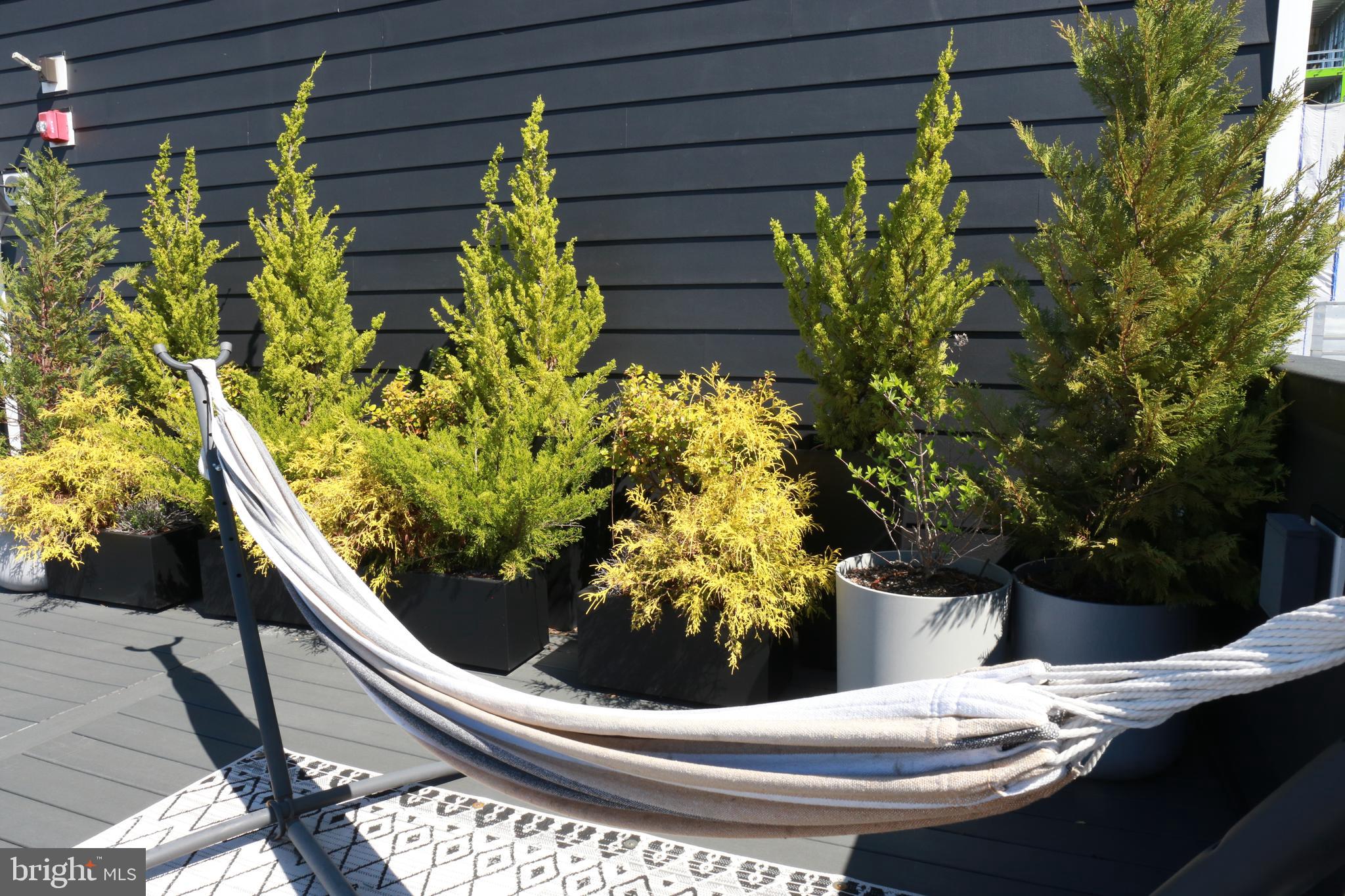 1111 S BROAD STREET 1BED/1BATH